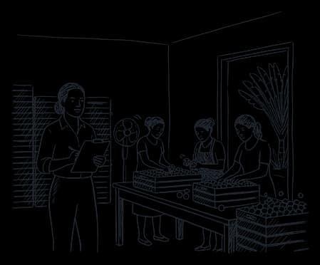 Une entrepreneure, presse-papiers en main, dans son atelier : trois ouvrières trient des fruits en cageots, un ravinala par la porte ouverte.