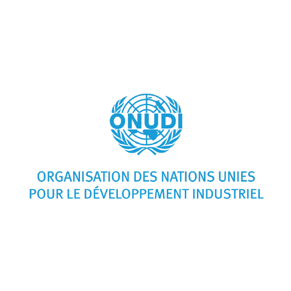undp